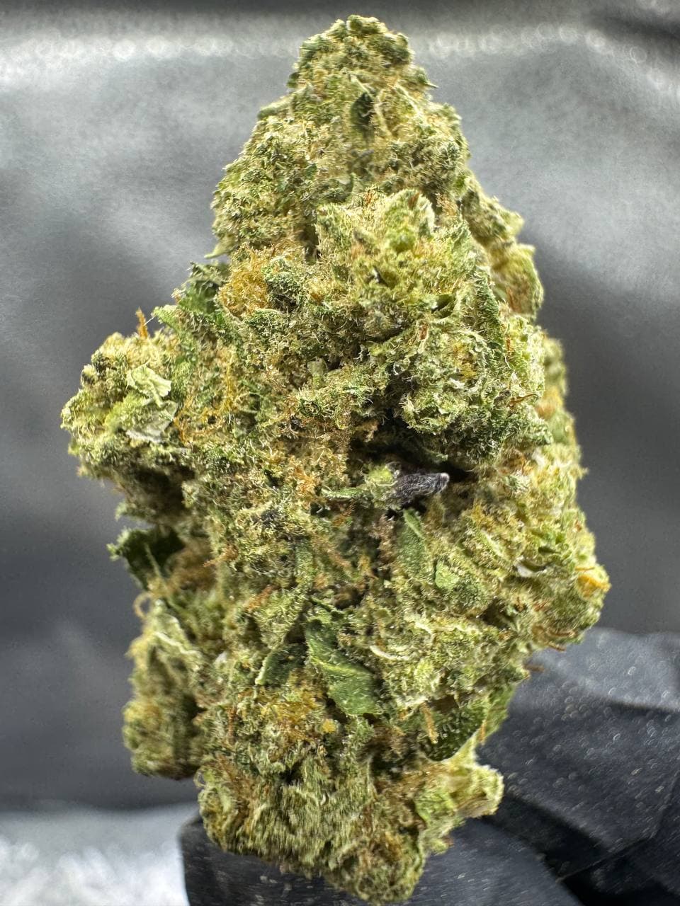 Apple Gelato