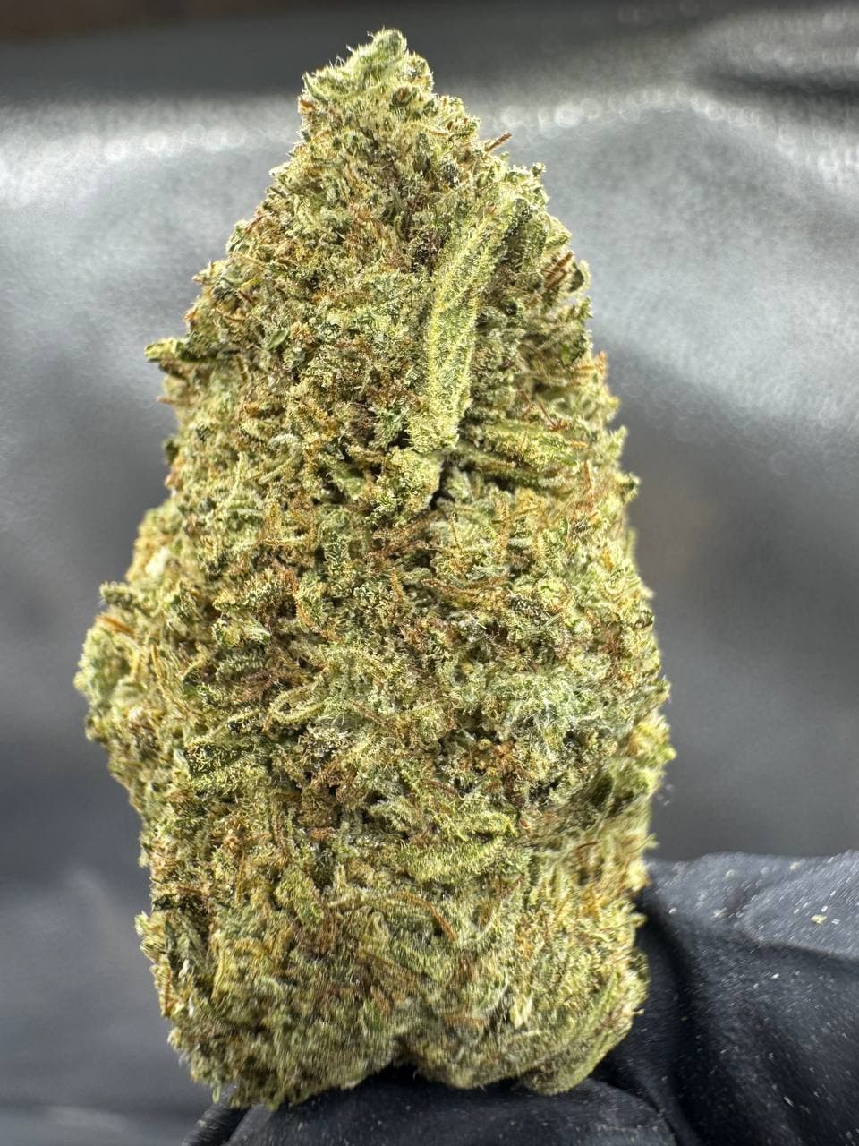 Groovy Diesel