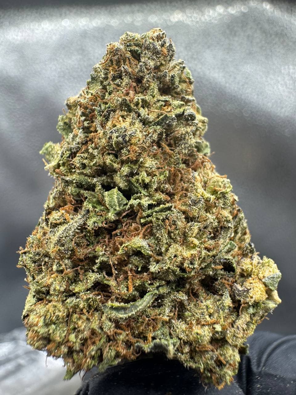 UK Cheese