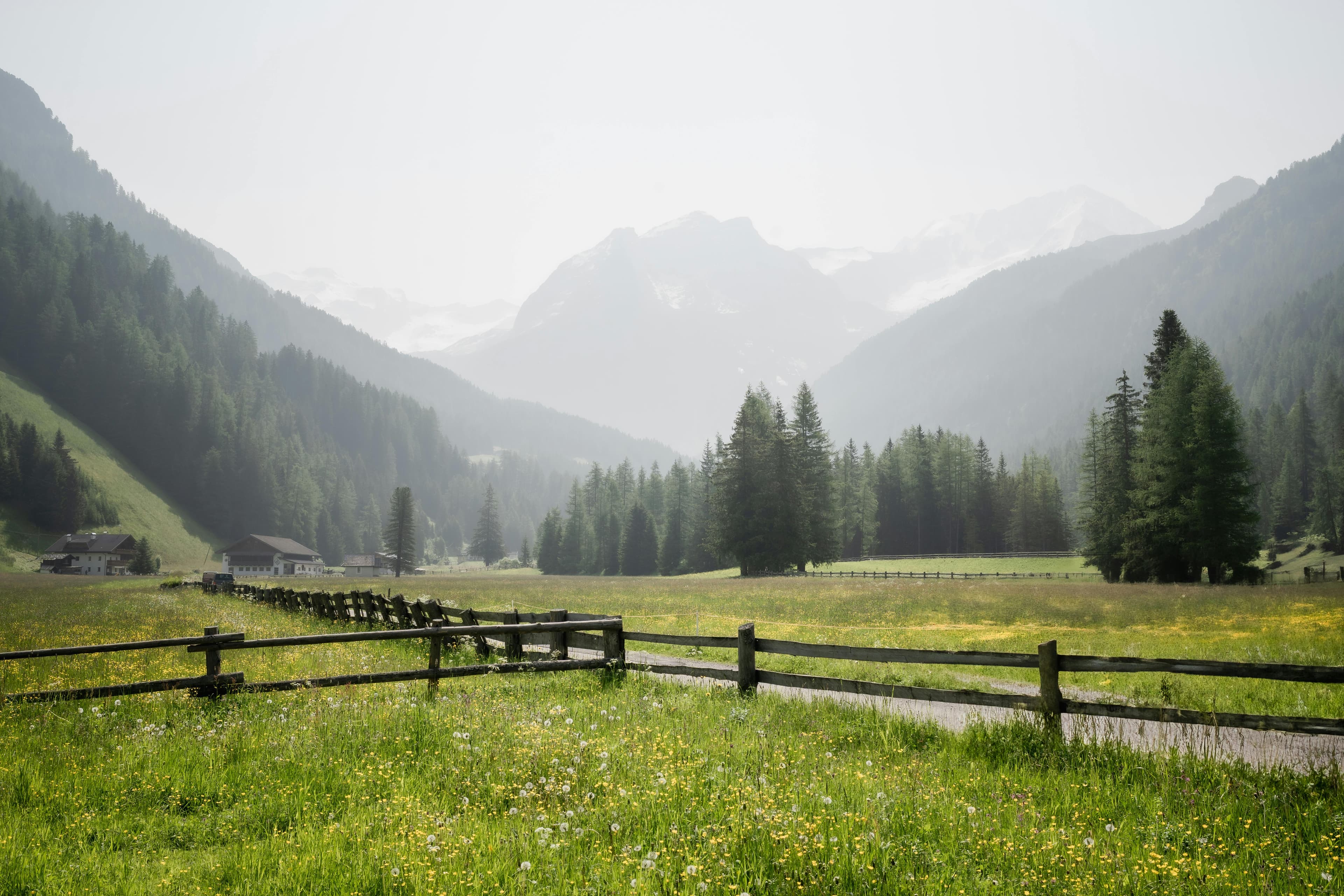 Frost Hollow Farms
