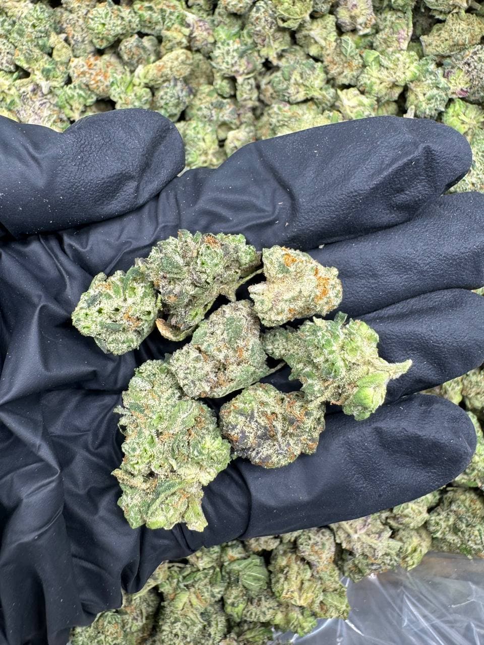 Strawberry Candy Smalls